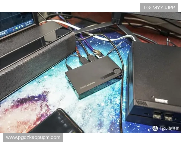 PG官网线上官网提供的主要服务项目介绍，满足不同用户的多样需求